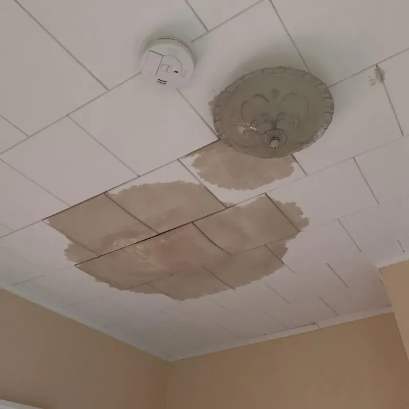 Ceiling Water Damage Repair in Garland, TX