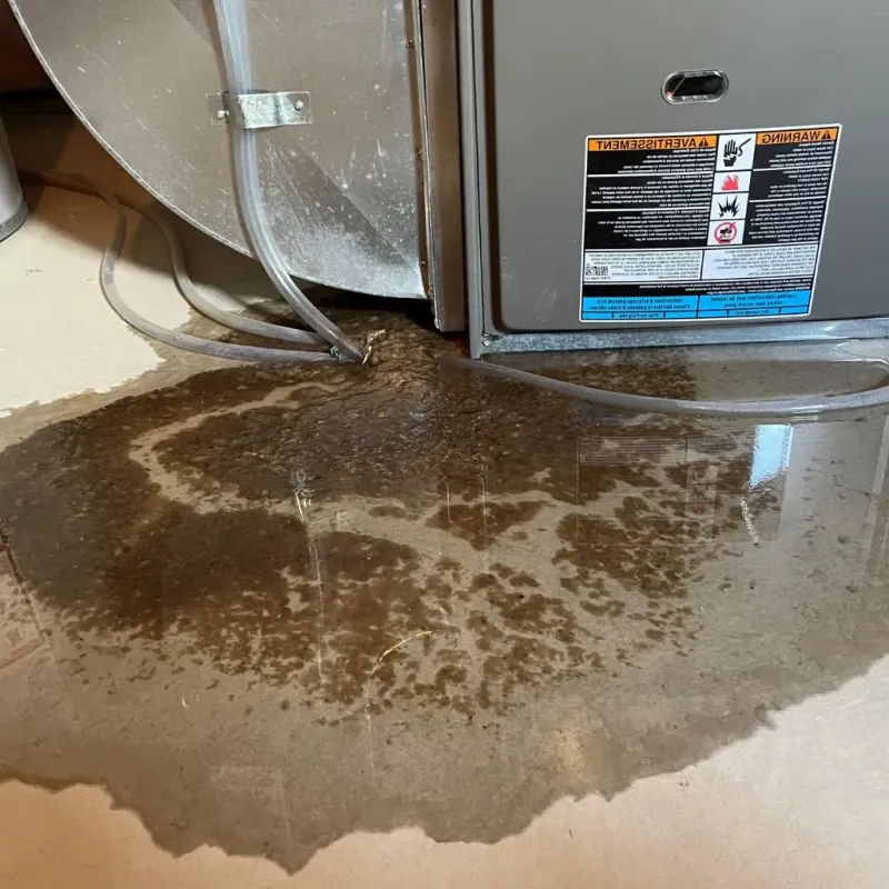 Pipe Burst and Leak Restoration in Garland, TX