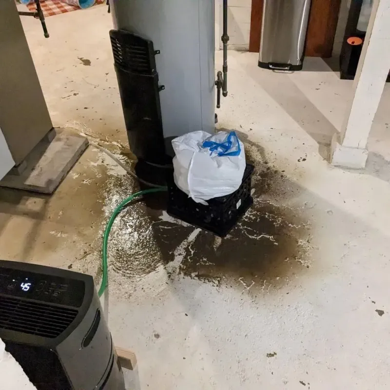 Sewage Backup Cleanup Service in Garland, TX